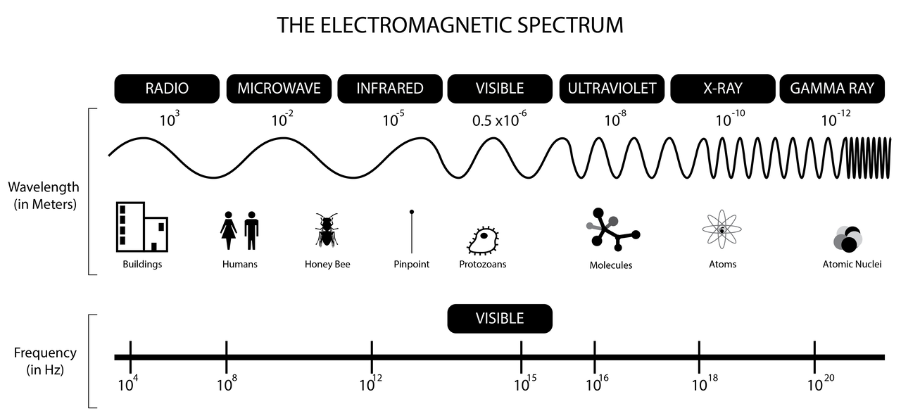 The electromagnetic spectrum, from radio waves to gamma rays, showing the visible-light band. Jonathan S Urie, CC BY-SA 3.0